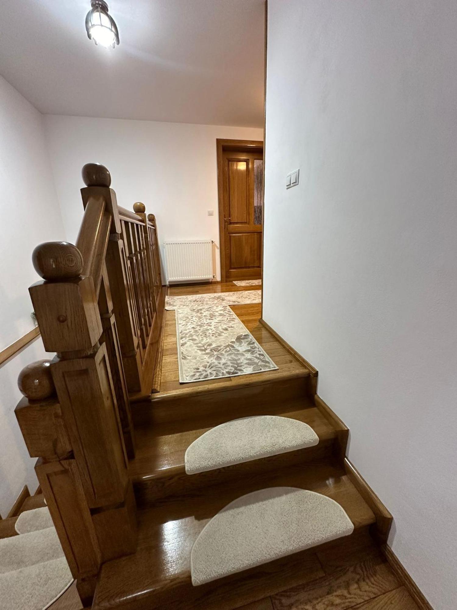 Casa Dacului Hotel Petrova Bagian luar foto
