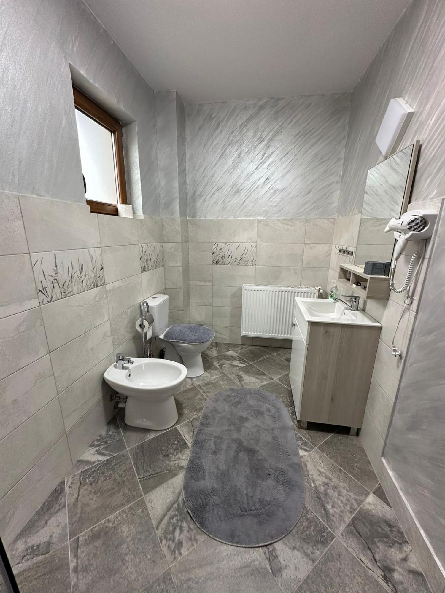 Casa Dacului Hotel Petrova Bagian luar foto